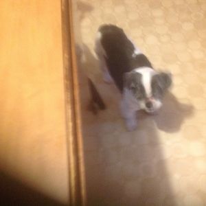 Meet your Posher, Charles